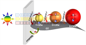 CdSe-Graphene Oxide Light Harvesting Assembly. Size Dependent Electron Transfer and Light Energy Conversion Aspects